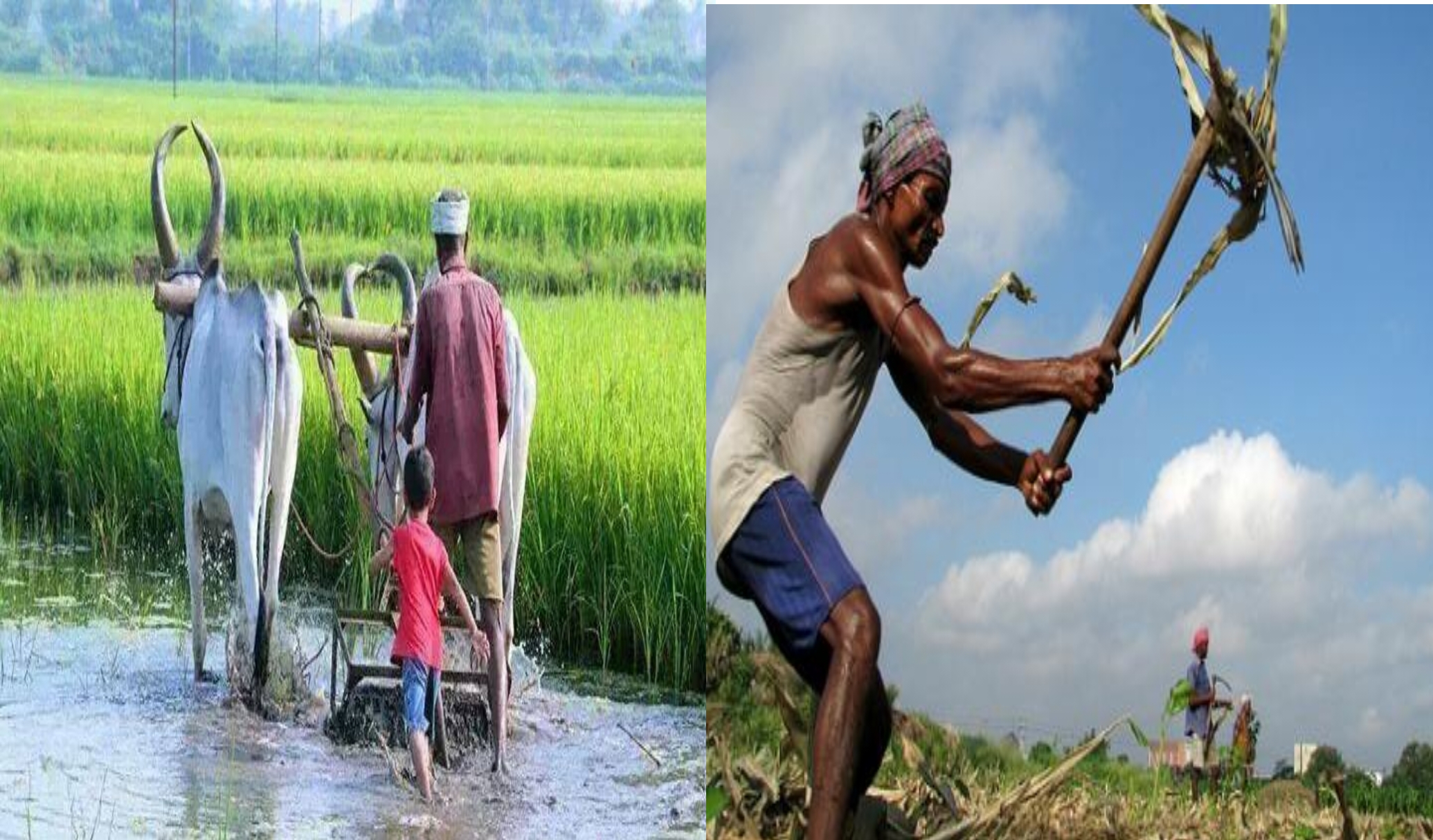 18 கிராம விவசாயிகள் அவர்களுடைய வாழ்வாதாரத்தை இழப்பது, அவர்களுடைய பூர்வீகத்தை இழப்பது, உதயநிதிக்கு அற்ப அரசியலா?